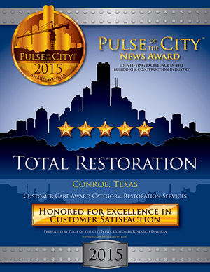 Pulse of the City News 2015 Award Winner, Total Restoration
